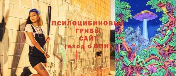 прущие крисы Елизово