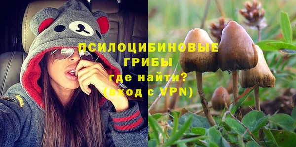 прущие крисы Елизово