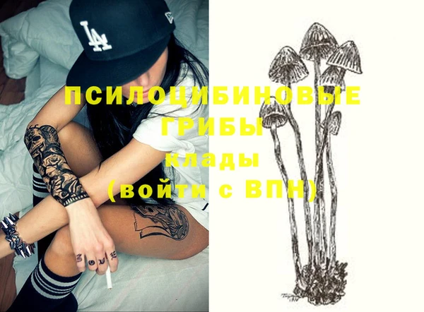 бошки Нязепетровск